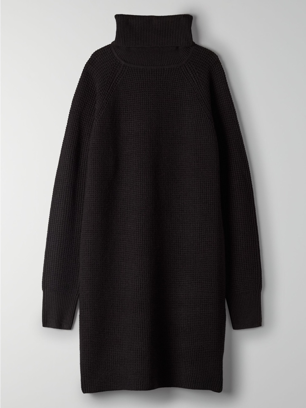 Aritzia Black Chunky Turtleneck Sweater Dress